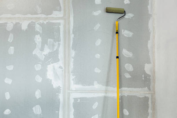 Best Drywall Removal and Disposal  in Moundridge, KS